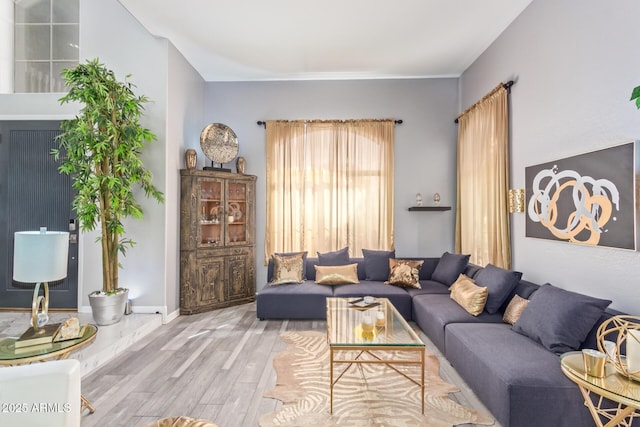 living room featuring wood finished floors