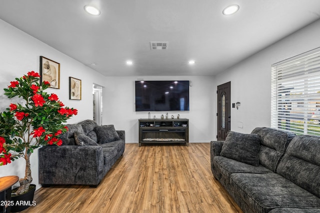 living room featuring hardwood / wood-style flooring