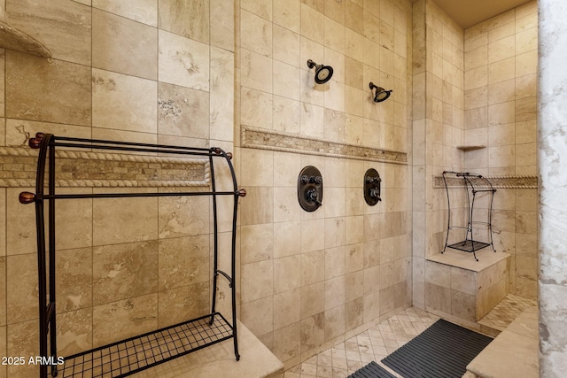 4301 E Taurus Pl, Chandler, AZ 85249 - full bath with tiled shower