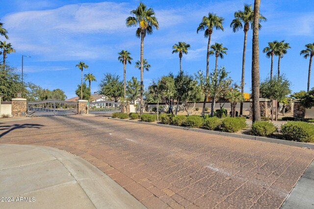 view of road with curbs, a gated entry, and a gate