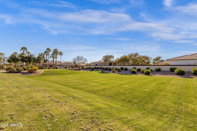 4301 E Taurus Pl, Chandler, AZ 85249 - view of grassy yard