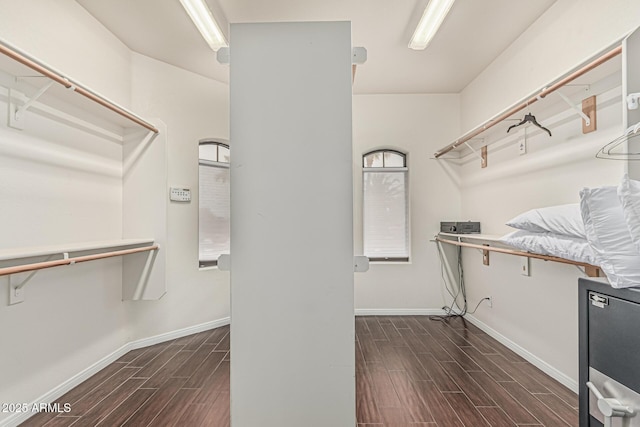 23644 N 67th Ave, Peoria, AZ 85383 - walk in closet with wood finish floors