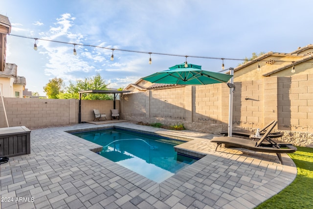 view of swimming pool with a patio area