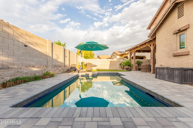 view of pool featuring a patio area