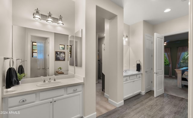 bathroom with wood-type flooring and vanity