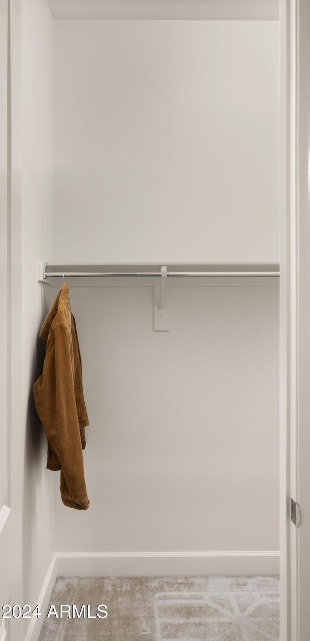 spacious closet featuring light carpet