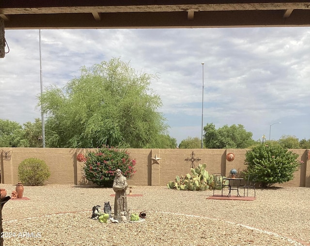 view of yard featuring a patio area