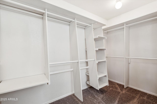 spacious closet featuring carpet floors