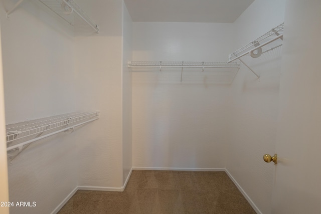 spacious closet with carpet