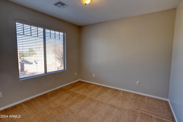 carpeted empty room featuring plenty of natural light