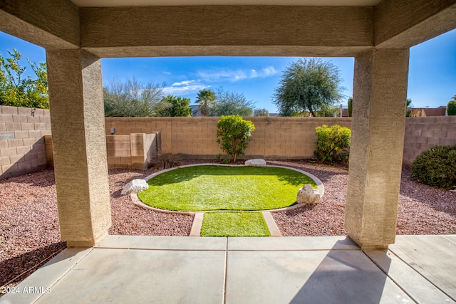 view of yard featuring a patio