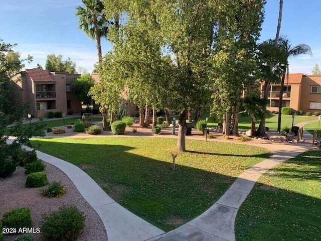 view of home's community featuring a yard