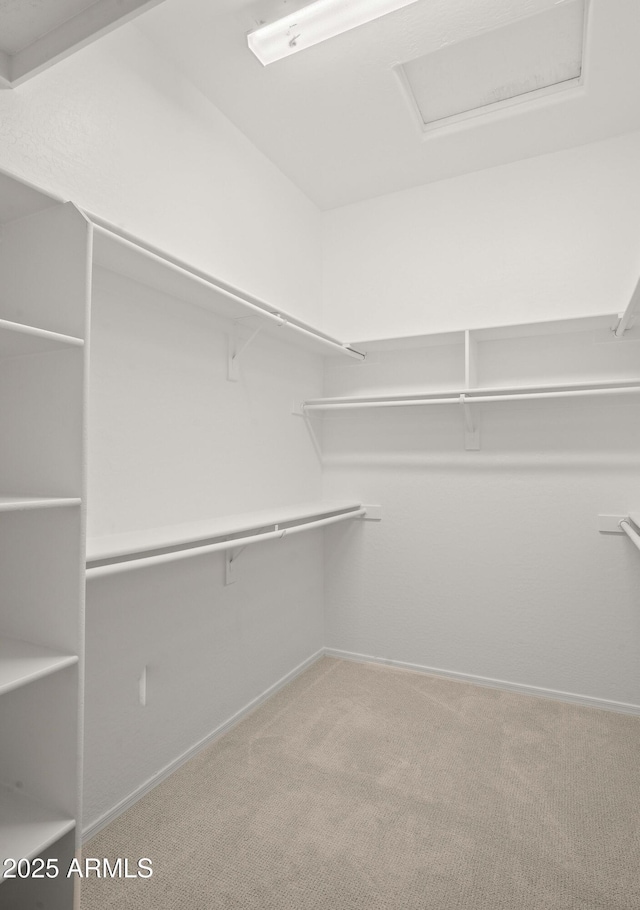 walk in closet featuring carpet floors and attic access