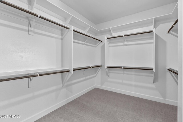 spacious closet with carpet