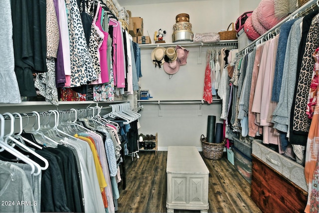 spacious closet featuring dark hardwood / wood-style flooring