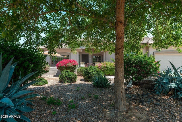 13034 W Krall Ct, Glendale, AZ 85307 - view of property hidden behind natural elements featuring stucco siding and a garage