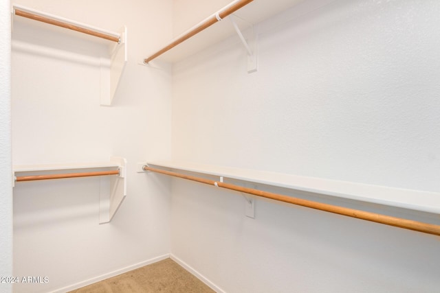 4548 E Carob Dr, Gilbert, AZ 85298 - walk in closet featuring carpet flooring