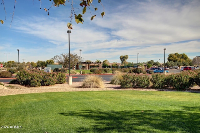 4548 E Carob Dr, Gilbert, AZ 85298 - view of community featuring a yard