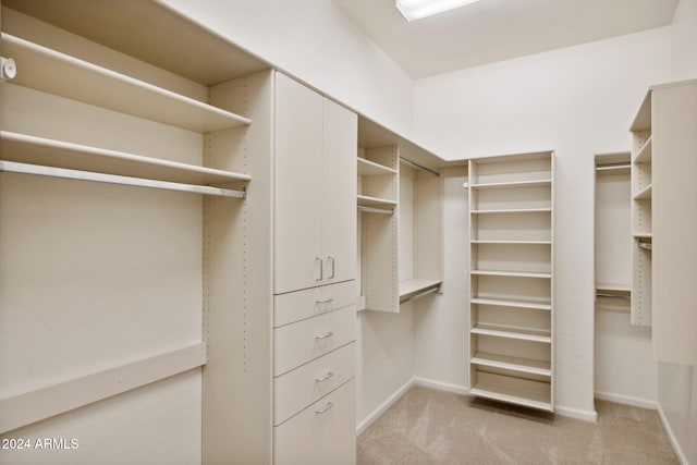 spacious closet with light carpet