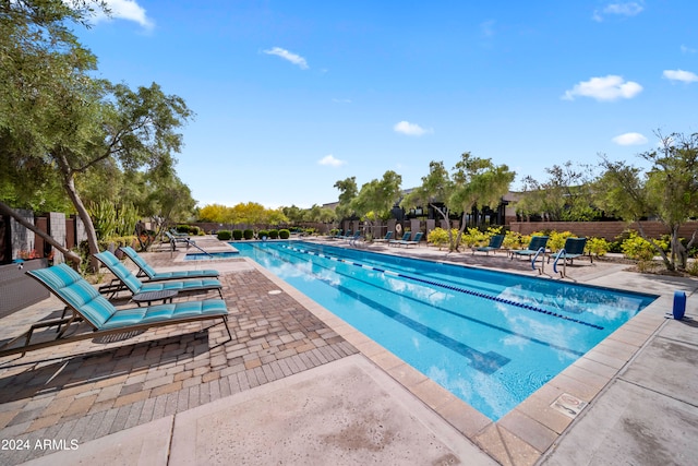 view of pool with a patio