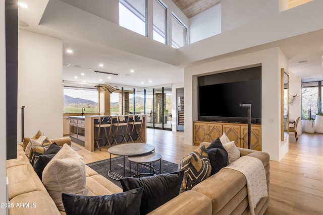 living room with a barn door, plenty of natural light, sink, and light hardwood / wood-style floors