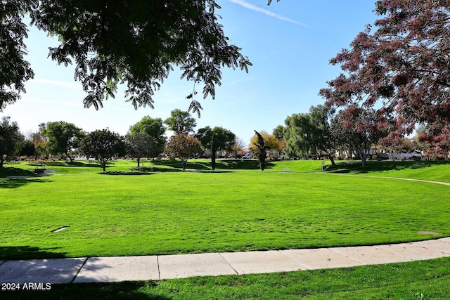 view of home's community featuring a yard