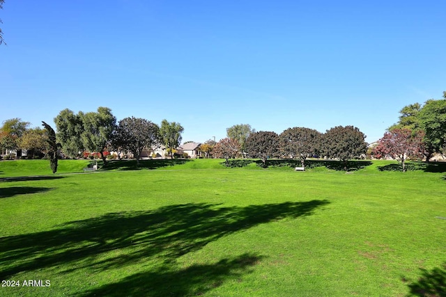 view of property's community featuring a yard