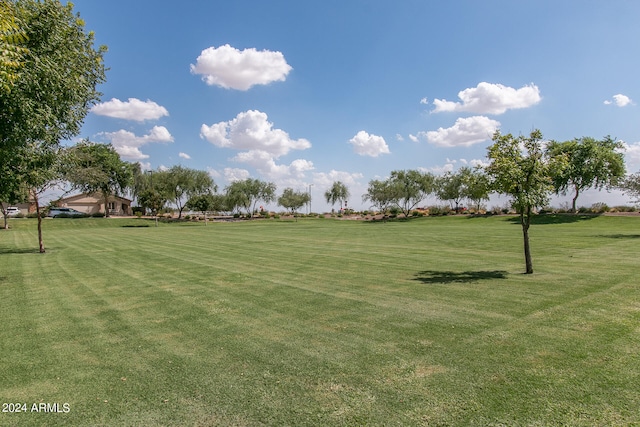 view of property's community featuring a lawn