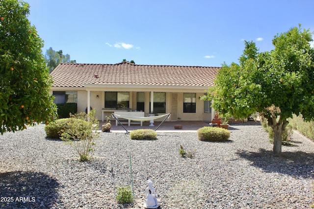 back of property featuring stucco siding, a tile roof, and a patio