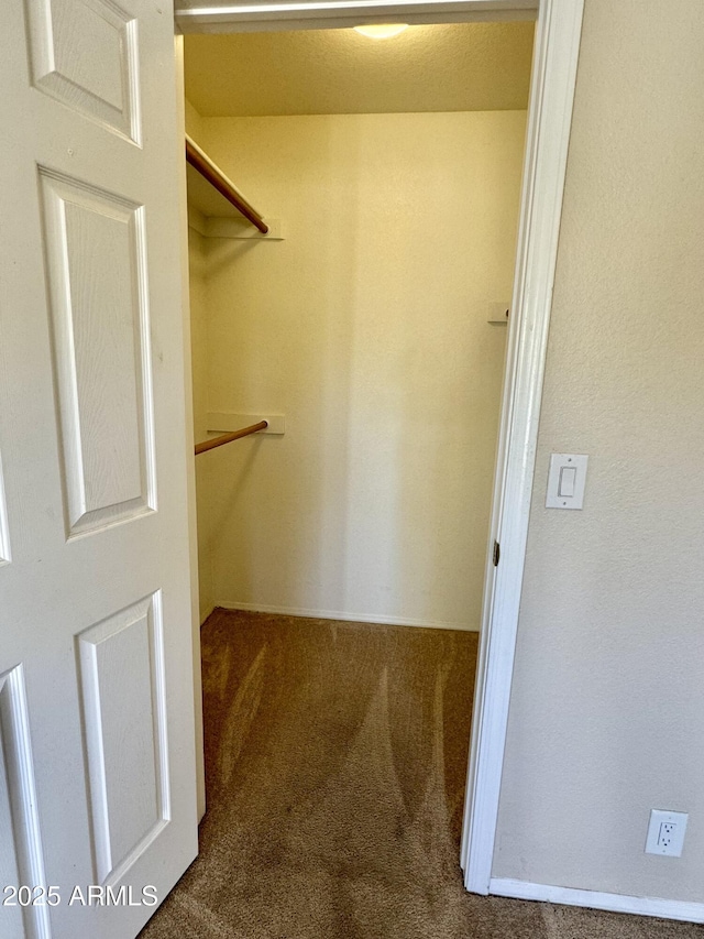 spacious closet with carpet