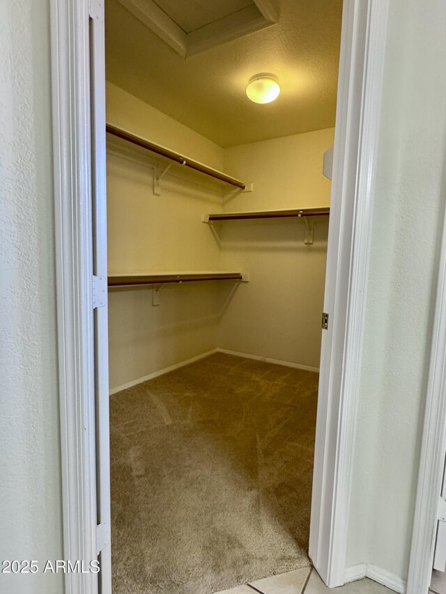 spacious closet with attic access and carpet flooring