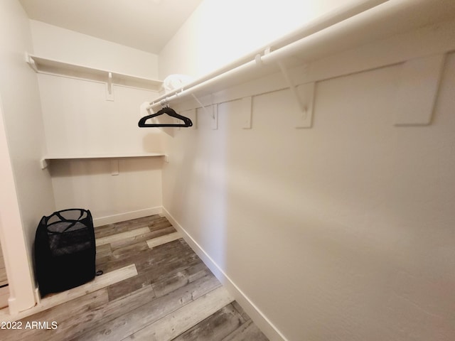 walk in closet featuring wood finished floors