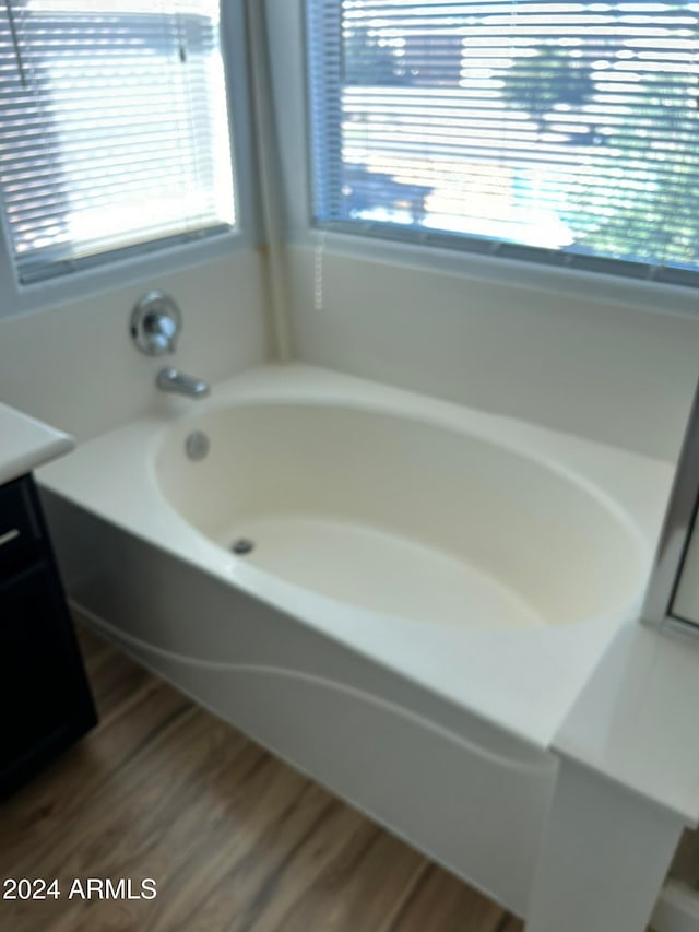 bathroom with vanity, wood-type flooring, plenty of natural light, and a washtub