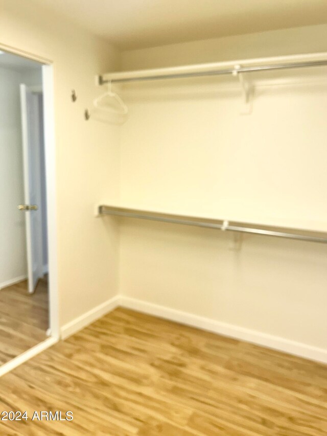 walk in closet with hardwood / wood-style flooring