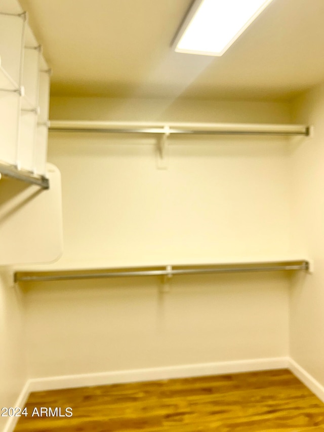 spacious closet featuring wood-type flooring