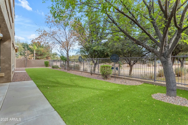 view of yard featuring a fenced backyard and a patio