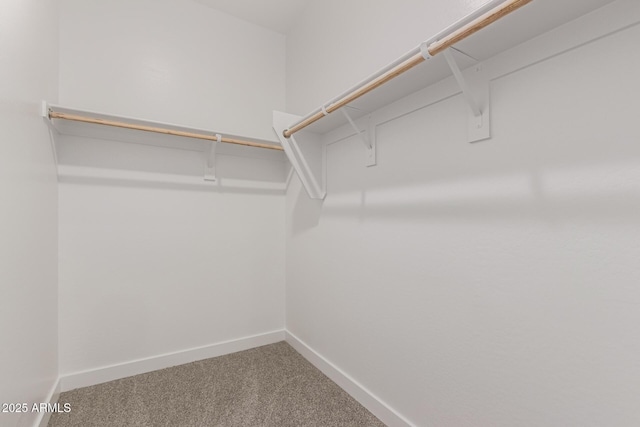 spacious closet with carpet flooring