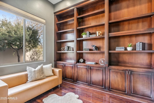 sitting room with dark hardwood / wood-style floors