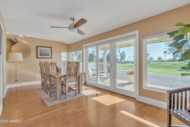 dining room with ceiling fan and light hardwood / wood-style flooring