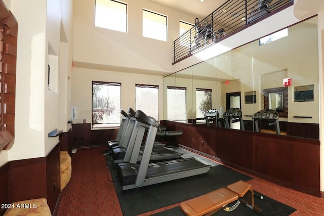 gym featuring carpet and a towering ceiling