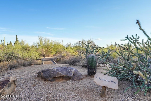 32516 N 68th Pl, Scottsdale, AZ 85266 - view of yard