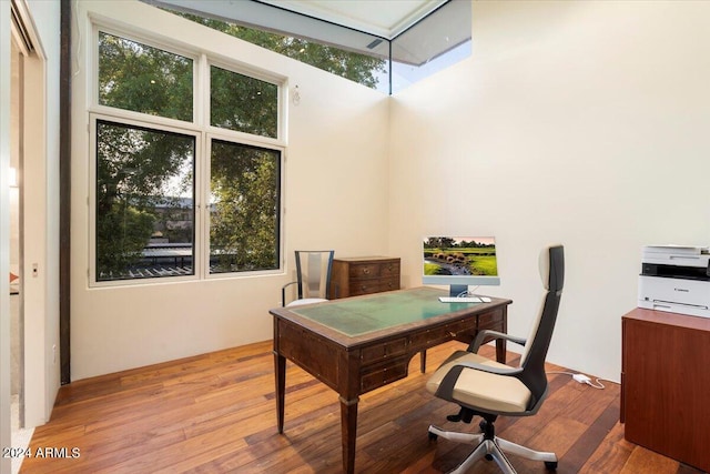 office featuring light wood-type flooring and plenty of natural light