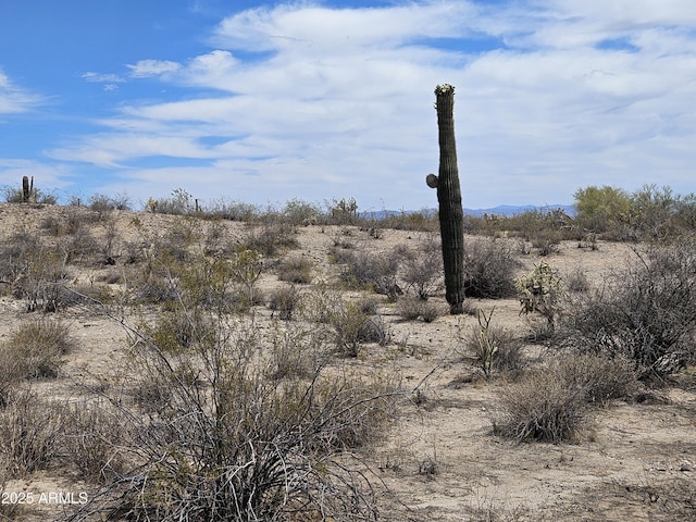 0 W Dexileta Dr Unit 141, Wittmann, AZ 85361