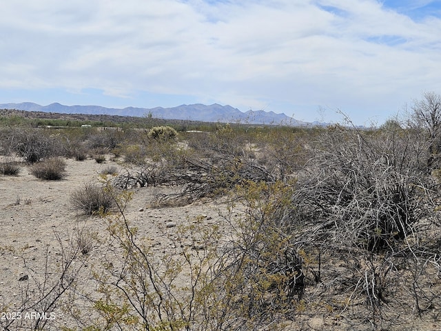 0 W Dexileta Dr Unit 141, Wittmann, AZ 85361