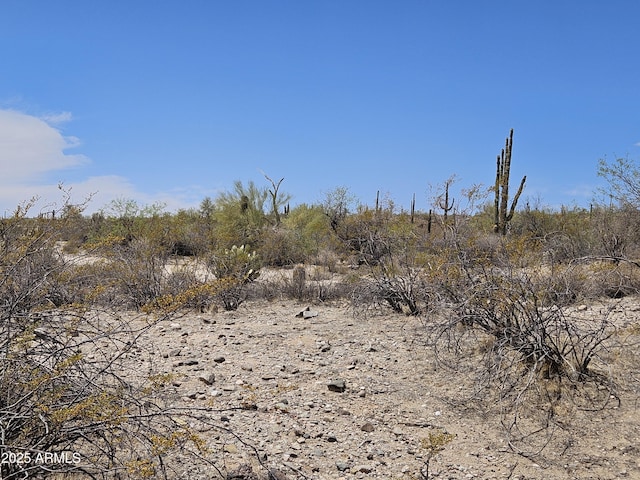 0 W Dexileta Dr Unit 141, Wittmann, AZ 85361