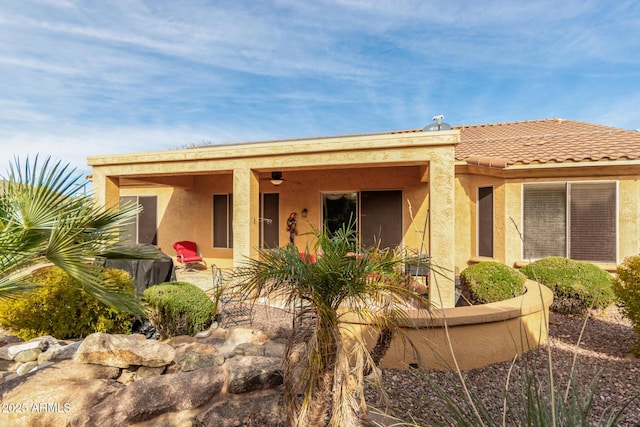 rear view of house with a patio area