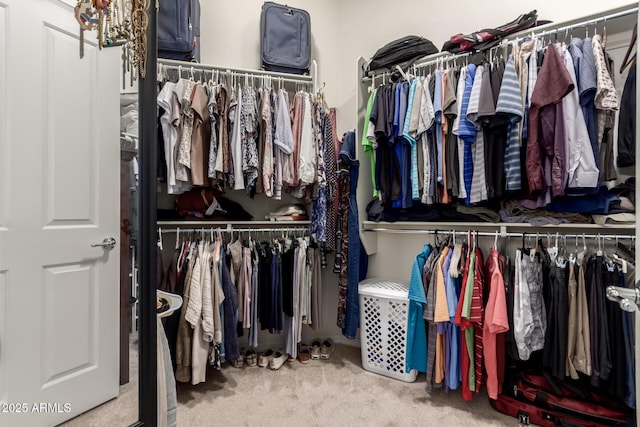 spacious closet with carpet