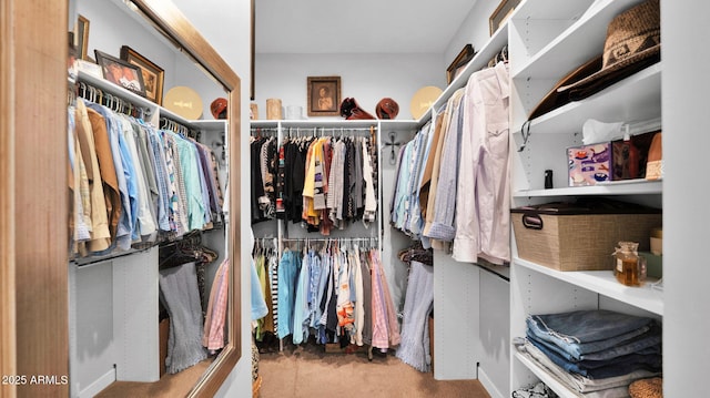 6525 E Cave Creek Rd Unit 40, Cave Creek, AZ 85331 - walk in closet featuring carpet floors