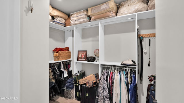 6525 E Cave Creek Rd Unit 40, Cave Creek, AZ 85331 - view of walk in closet