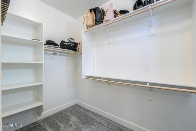 21595 S 225th Way, Queen Creek, AZ 85142 - spacious closet featuring dark carpet
